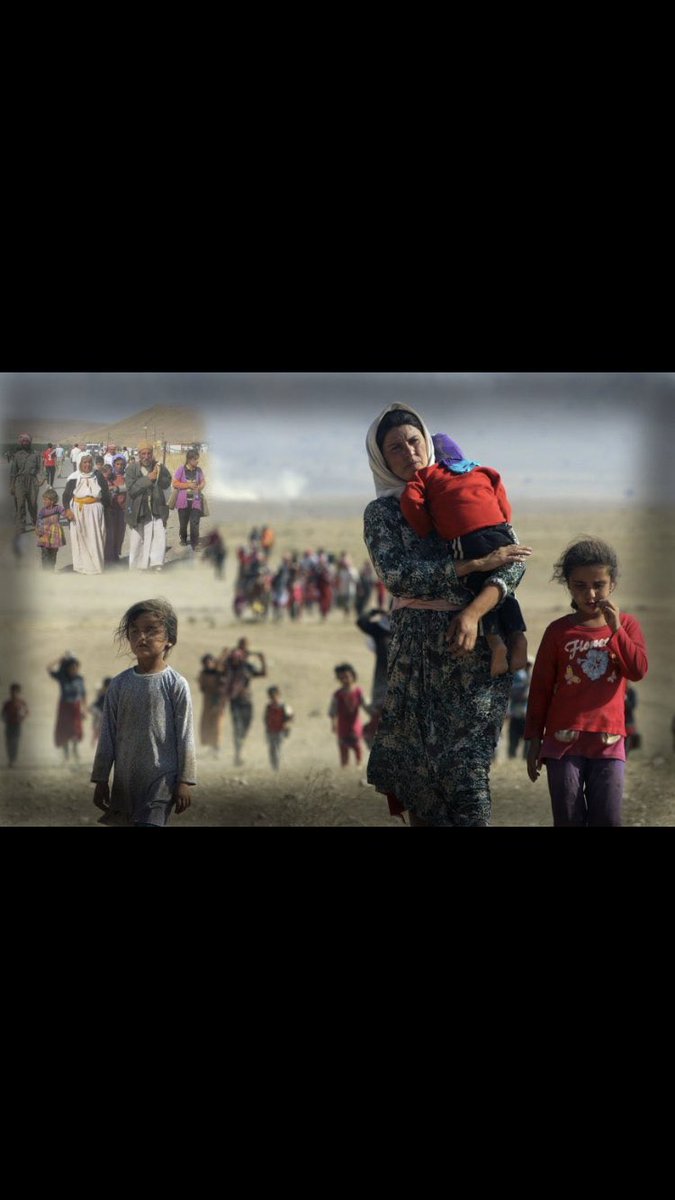 CemalBingl5's tweet photo. #Şengal 
Emê ne ji bîr bikin ne jî efû bikin! https://t.co/WIvw33jvXs
