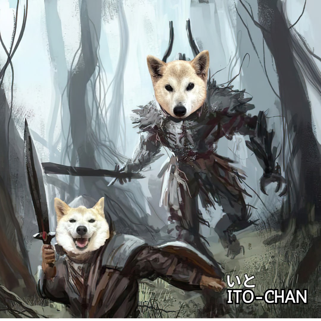 Zonal Experience tweet media