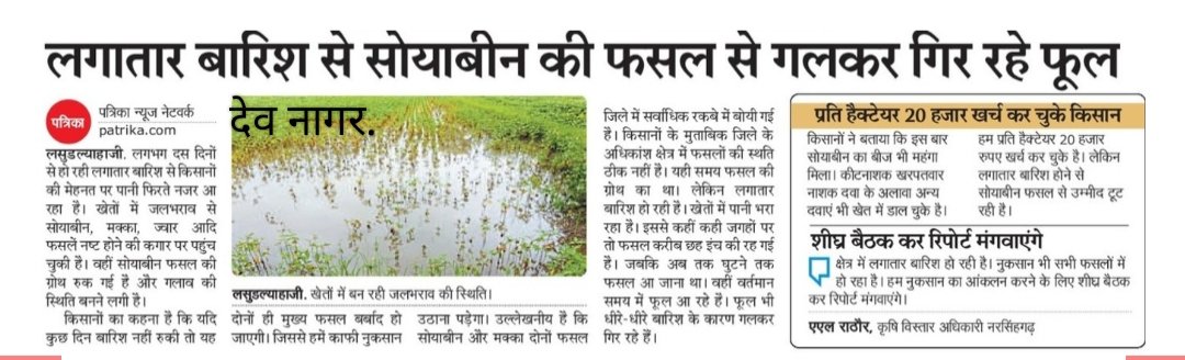 Dhakad94245's tweet photo. लगातार बारिश होने के कारण सोयाबीन व अन्य फसले होने लगी खराब...
:- देवनागर...✍🏻 https://t.co/6GrcHJNcMQ