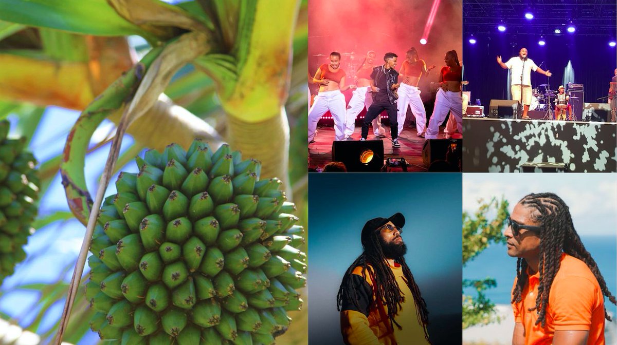 outremers360's tweet photo. 31ème édition de la fête du #Vacoa : Dix jours de festivités à Saint-Philippe à #LaRéunion pour permettre aux traditions de traverser les âges 

➡️https://t.co/q2WFb3j8Av

➡️Evènement majeur du Sud Sauvage, la fête du Vacoa à Saint-Philippe à La Réunion revient pour une 31ème édition du 9 au 18 août 2024. Pendant une dizaine de jours, autour de la célébration de ce savoir-faire ancestral réunionnais, des concerts et des spectacles seront proposés tous les soirs de l’évènement. Une programmation artistique et culturelle diversifiée et intergénérationnelle