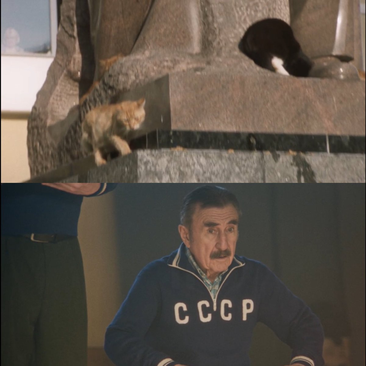 #Игры

В сериале «Игры» есть котики и Леонид Каневский я полностью всем довольна.
