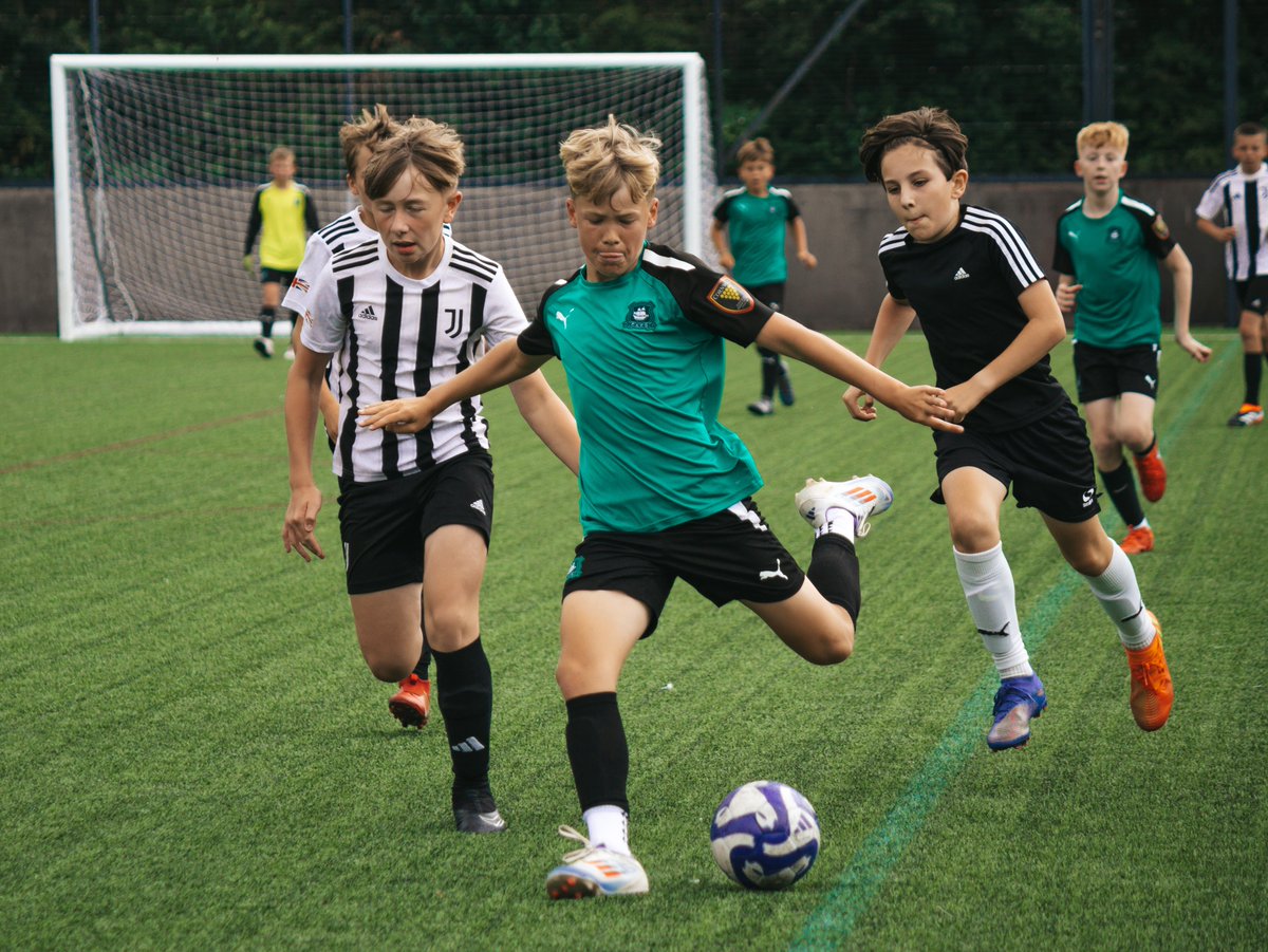 Dale Hughes tweet media