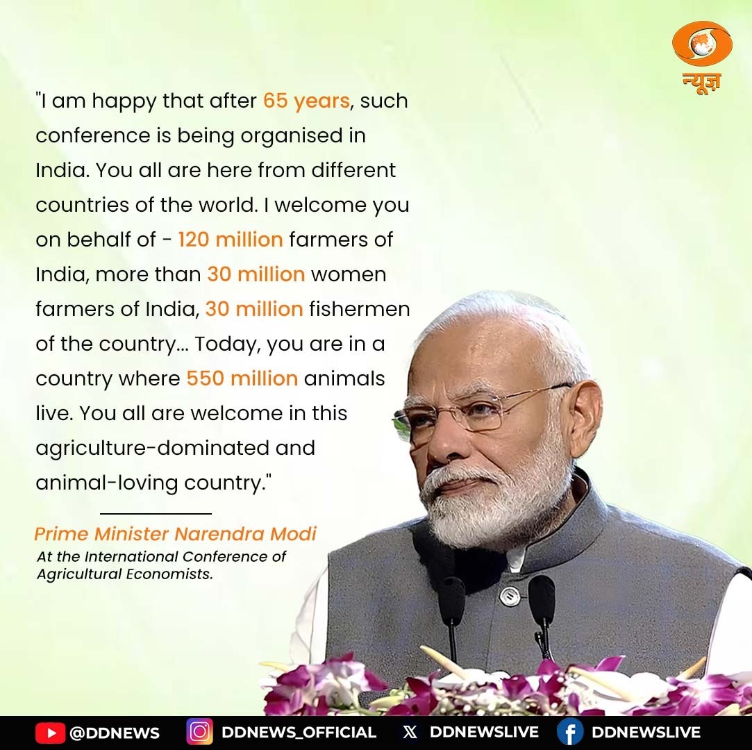 DD News tweet media