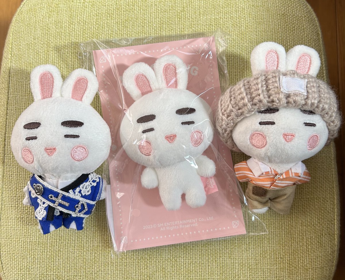 我が家に3人目のｼﾞﾝｸﾞﾜﾝがいらっしゃいました🐰🐰🐰 何個あっても