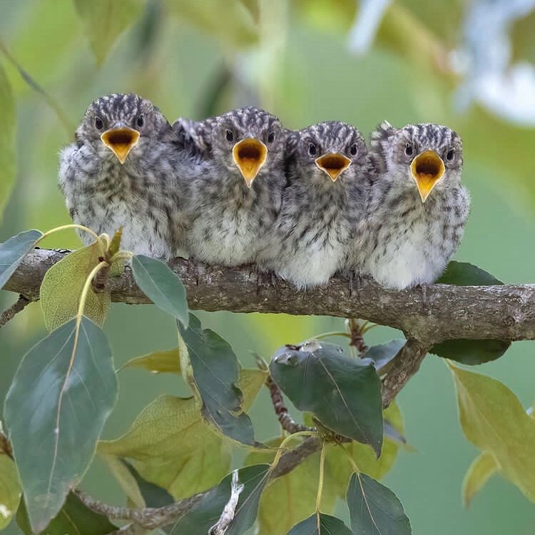 GUCdOUDb0AImZOh?format=jpg&name=900x900