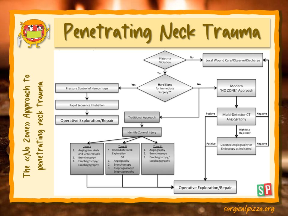 surgicalpizza's tweet photo. What's the "No Zone" approach to penetrating #necktrauma? 🤔
To read more: https://t.co/c5i2Kyczoj
#spbites 🍕 #surgicalpizza #trauma #ACS #surgery #education #flowchart #management #MedTwitter #MedEd https://t.co/voZGHAur40