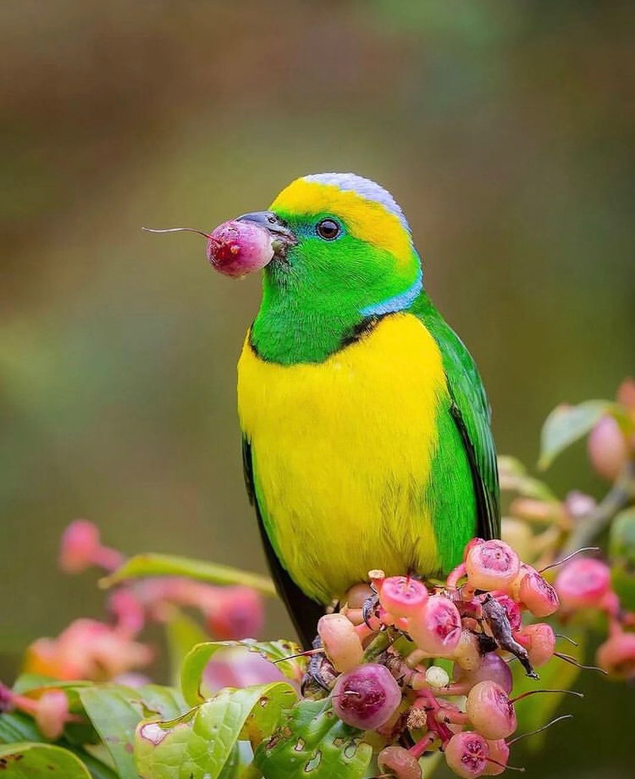 GUCeKTIaIAA0k0S?format=jpg&name=medium