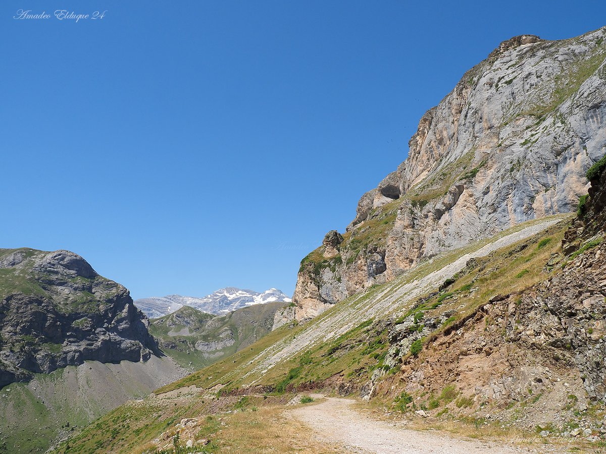 aelduque's tweet image. Vista del Macizo de #MontePerdido desde la pista forestal de #Ruego.
Valle de #Chisagües, #Bielsa, #Sobrarbe, #Huesca, #Aragón, #Spain.

📷2024-07-31