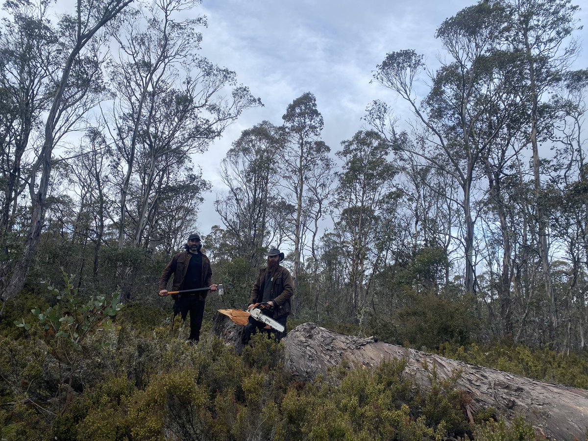 PhillipBiggInd's tweet photo. Good afternoon to all #SolutionHunters, #SelectiveLogging and #RealEconomy observers, abandoned Tasmanian sawmillers, Ta Ann enablers and @EricAbetzMP
#politas https://t.co/vFi62pQmzk