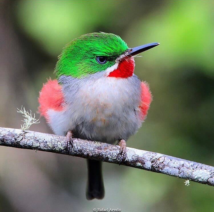 GUCfL3fb0AAur9v?format=jpg&name=900x900