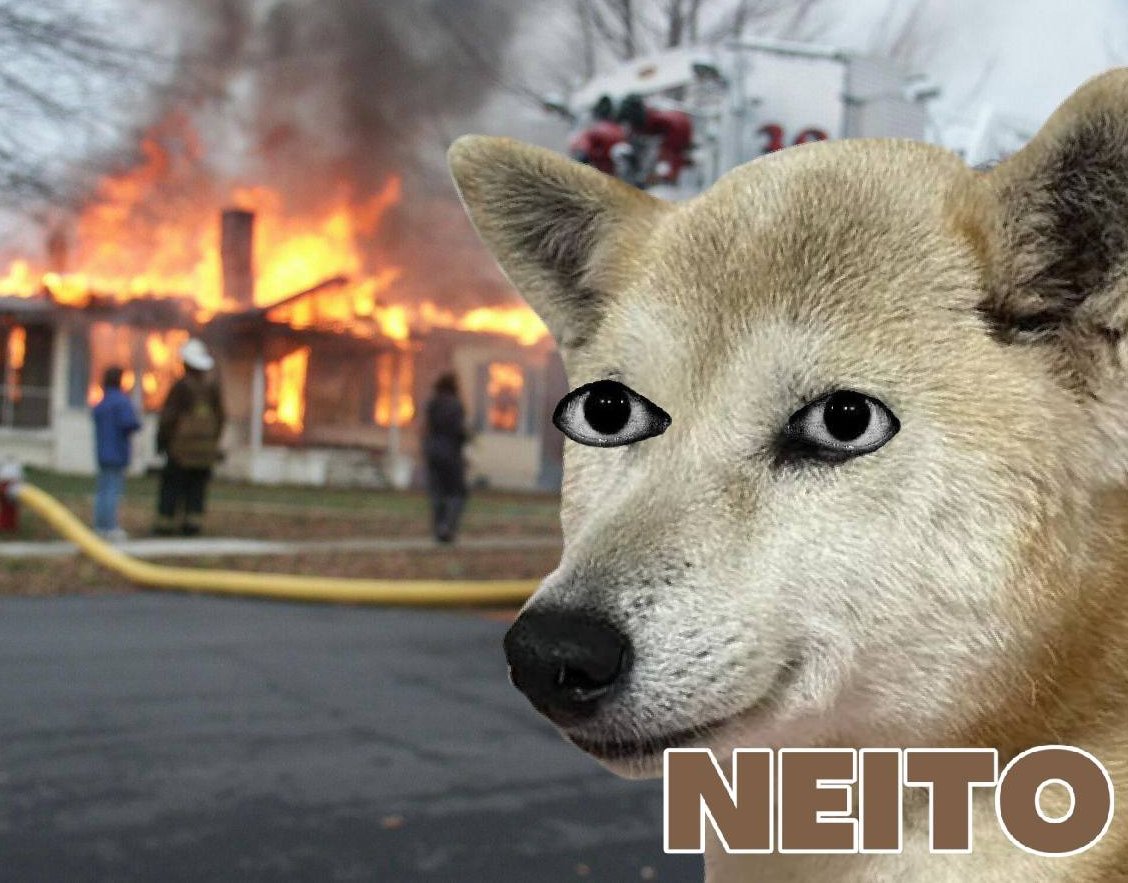 Neitocoin's tweet image. $NEITO is fine. We've been through tougher times and we always bounce back stronger.