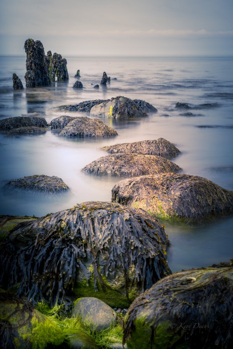 Claim waters at low tide