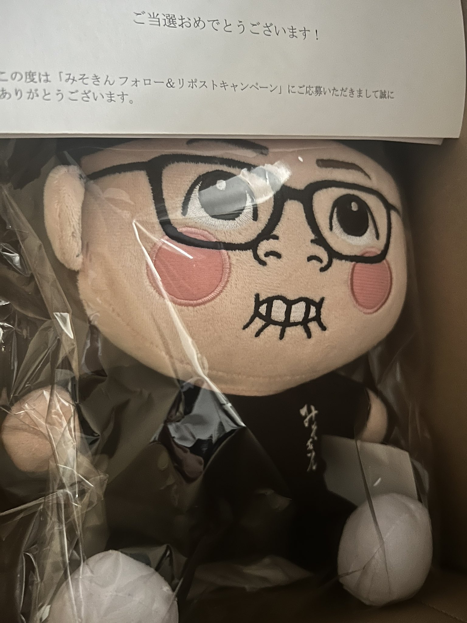 みそきん ぬいぐるみ 2025年最新】みそきん ぬいぐるみの人気アイテム - メルカリ