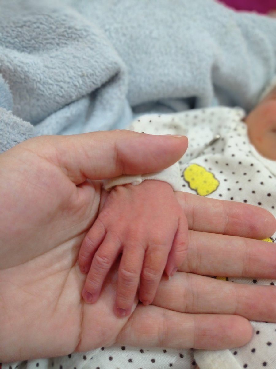 سوتونت tweet media