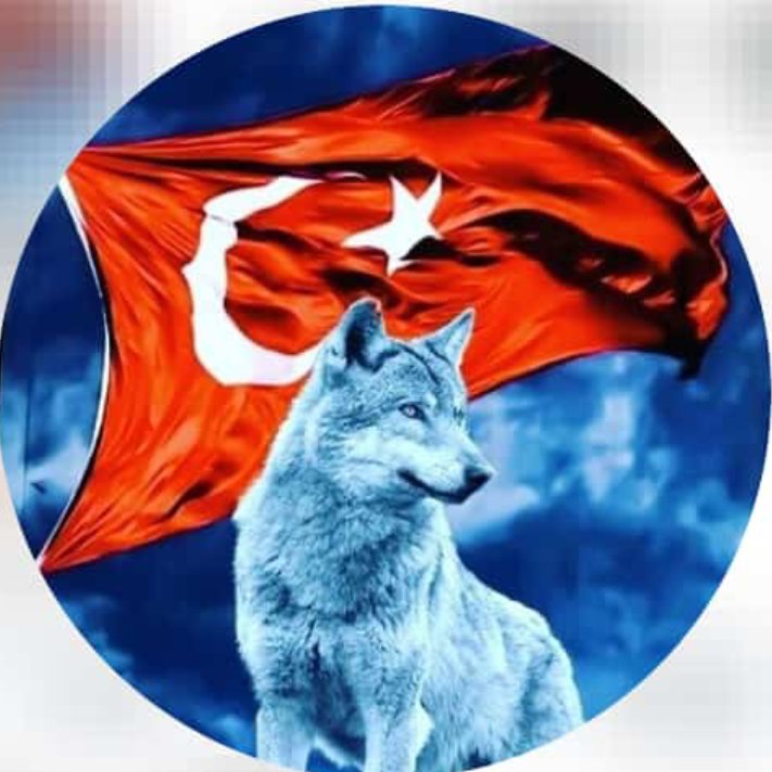 Ancak çaresizlere ve sabilere gücü yeten siz Hitlerin çocukları soykırımcılar ve kan emici vampirler, siz henüz Türk Milleti ile tanışmadınız. #Erdoğanyanındayız