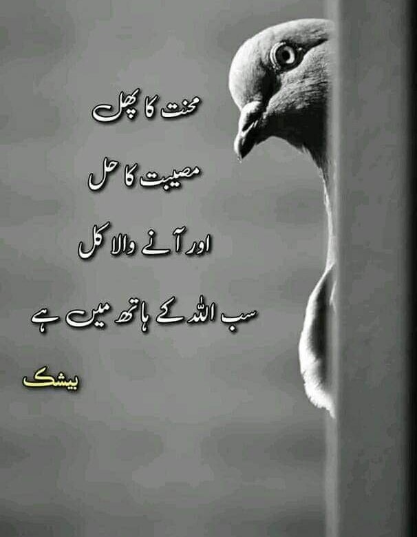 Moazzam Abbas tweet media