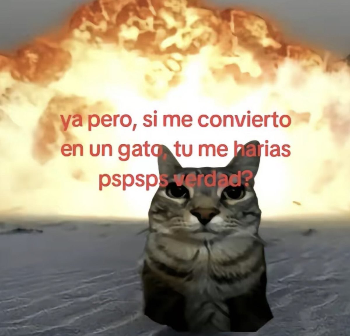 piña sin pizza (@skereunpesado) on Twitter photo 
