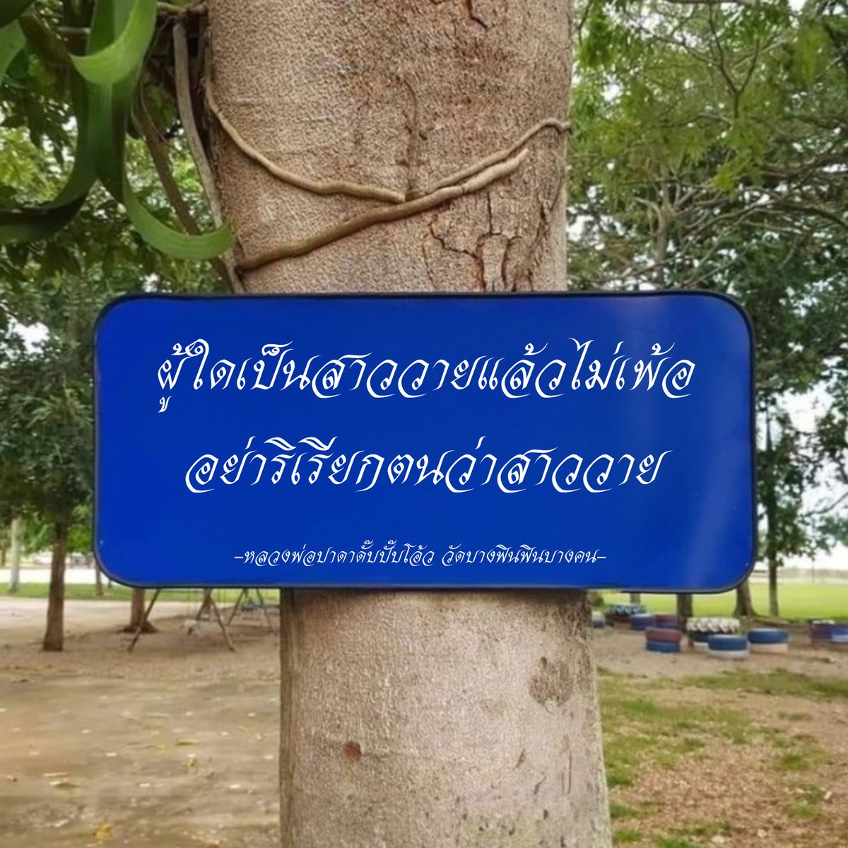 จีบี้เบียซ สาววายสายลับ ᴥ︎ (@yayjibiiii) on Twitter photo 