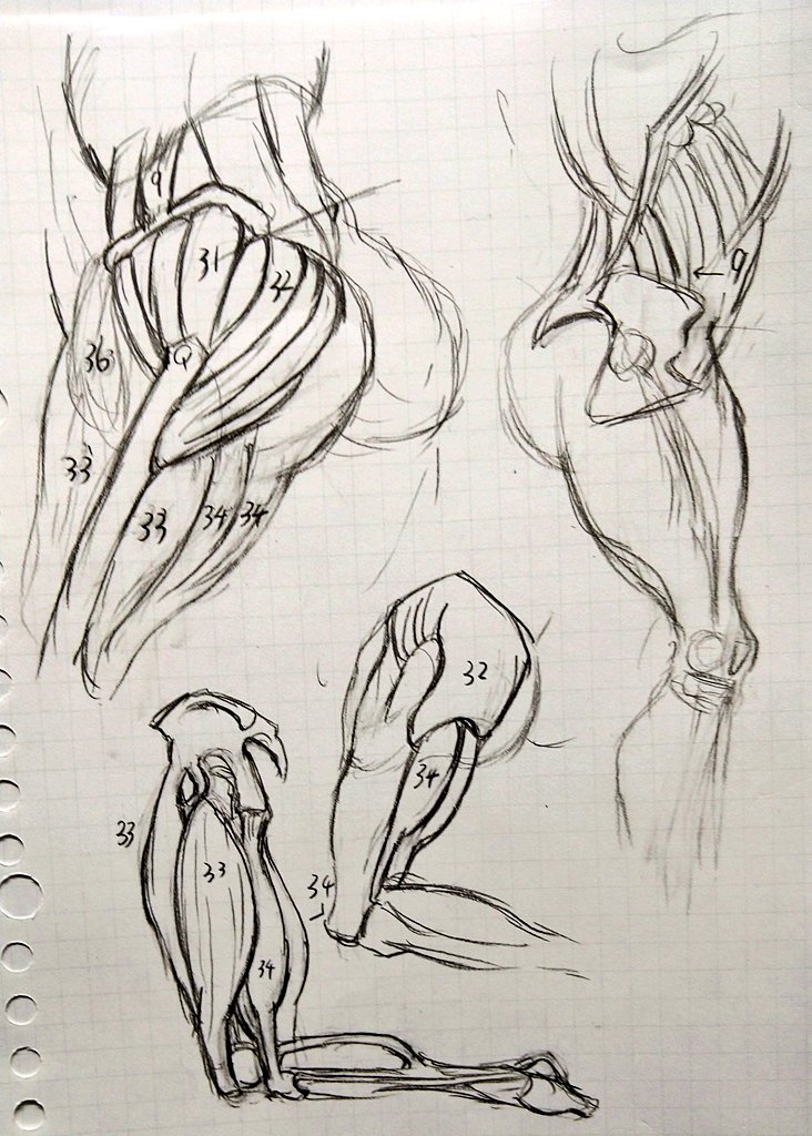 仕事おわー&一服( ˘ω˘)🍩
昨日の練習(上)と今日の練習(下) 