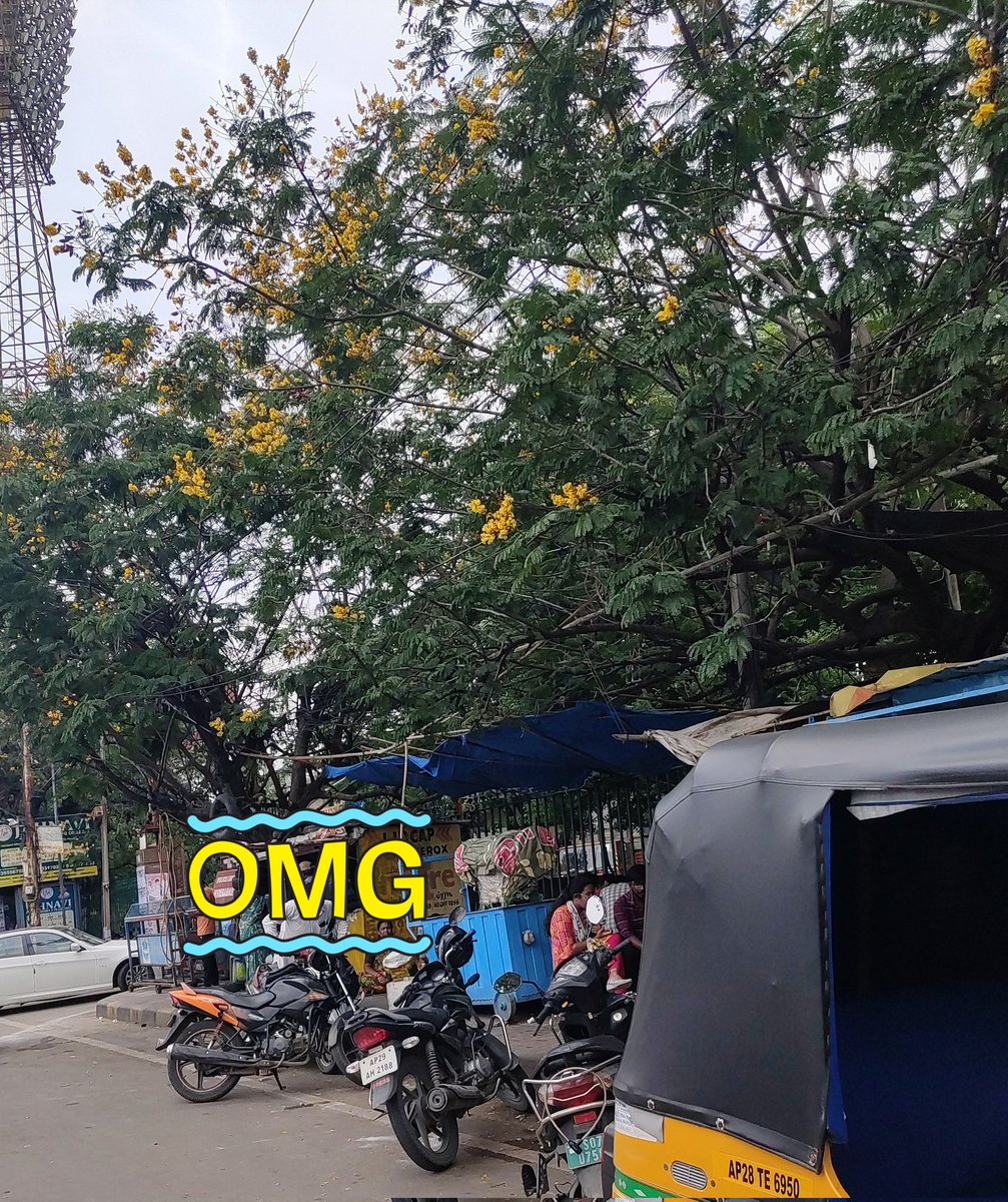 Citizen_TS's tweet image. Mam @CommissionrGHMC under ur guidance, any measures of clearing the #footpaths or else it will remains the same?
What's d need if it's enchroached n #pedestrians forced to walk on road?

Pls 🙏 @ZC_Khairatabad @GHMCOnline 
Even metro stations seen with parking 🛵🛵 @HiHyderabad