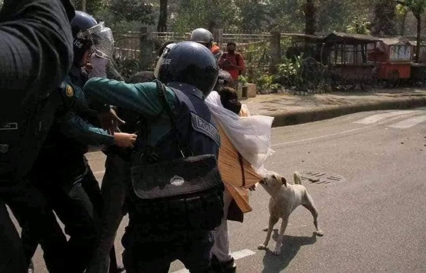 The picture says it all!

A dog is trying to save female activists who're beaten and harassed by police. #Bangladesh #BangladeshBleeding #BangladeshInTurmoil #BangladeshUnderAttack <a href="/BBCWorld/">BBC News (World)</a> <a href="/cnni/">CNN International</a> <a href="/AJEnglish/">Al Jazeera English</a> <a href="/hrw/">Human Rights Watch</a> <a href="/UNHumanRights/">UN Human Rights</a> <a href="/amnesty/">Amnesty International</a> <a href="/bdnews24com/">bdnews24.com</a> <a href="/ProthomAlo/">Prothom Alo</a> <a href="/dailystarnews/">The Daily Star</a> <a href="/UN/">United Nations</a>