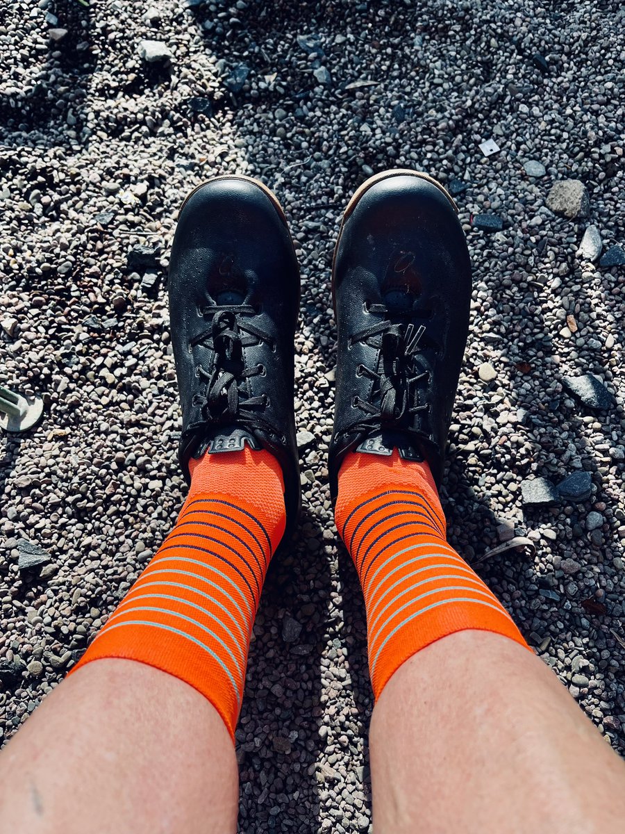 Dog_in_a_hat's tweet image. It’s all about the socks #sockdoping @bissiniofficial