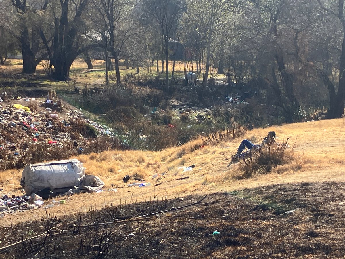 Giulietta Talevi tweet media