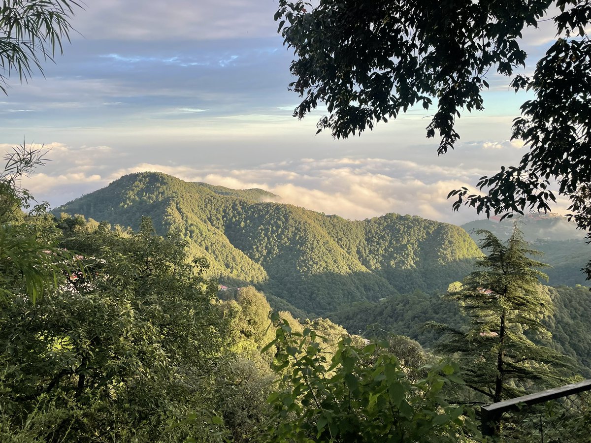 Aditya Manral tweet media