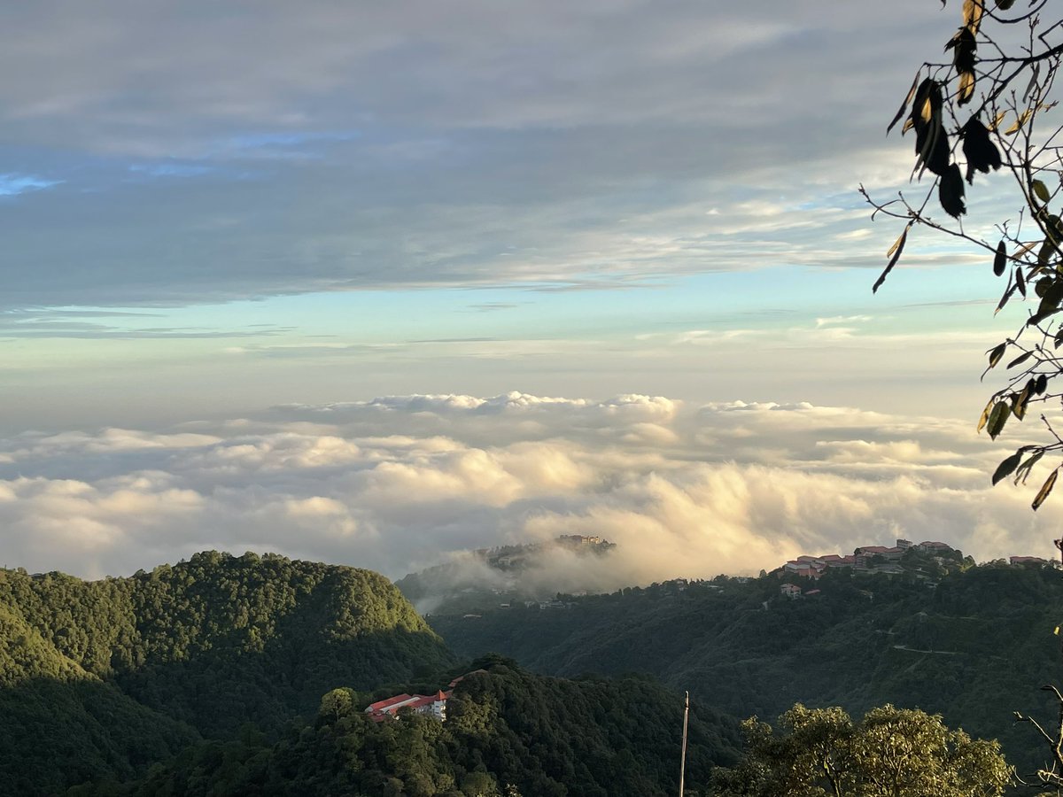 Aditya Manral tweet media