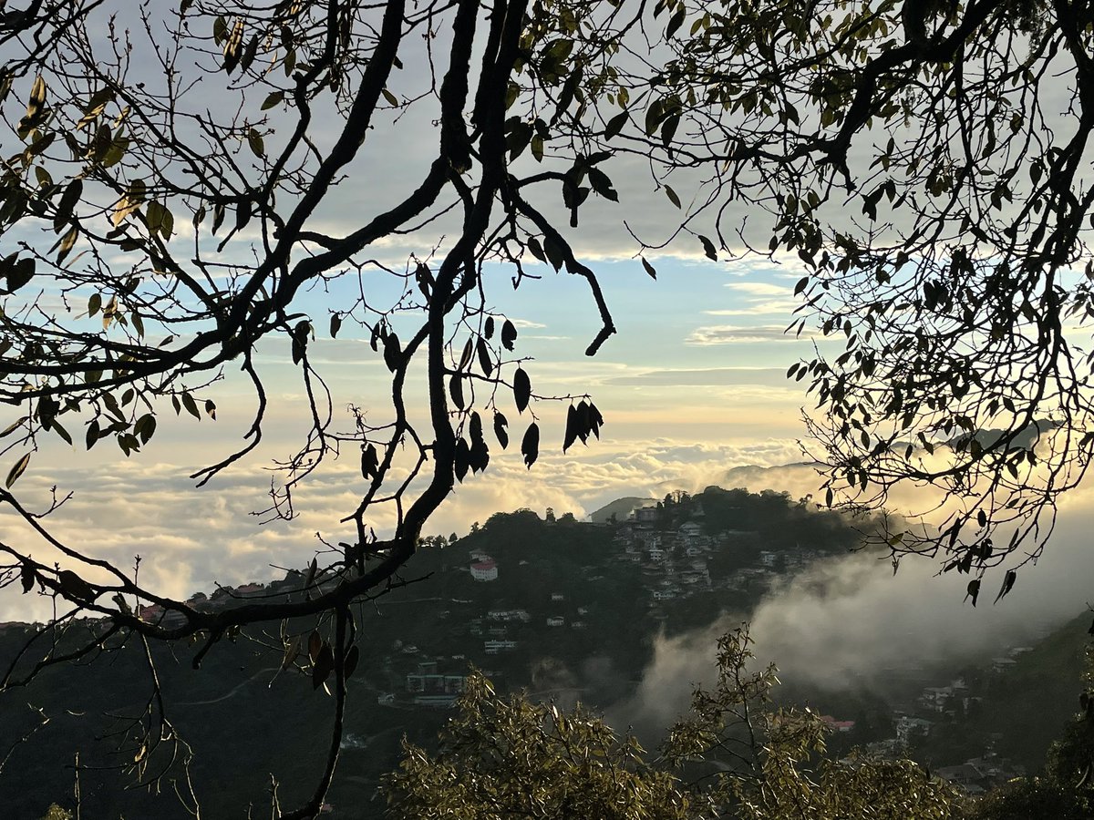 Aditya Manral tweet media