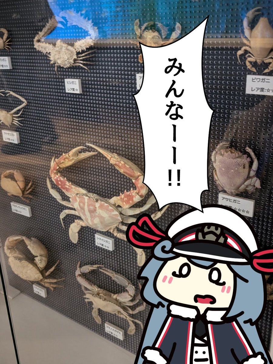 #1日1絵チャレンジ
355日目

蟹の展示を見てしまったカニちゃん 
