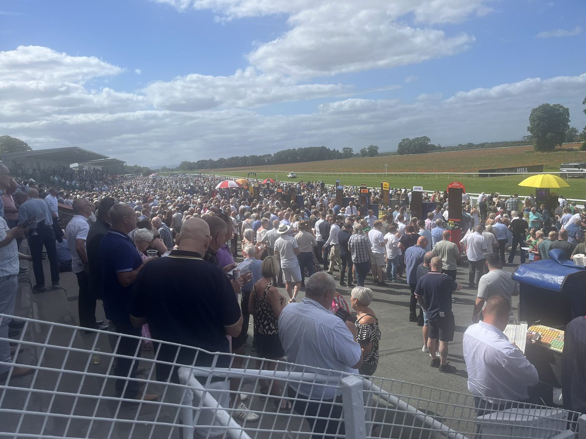 SD Racing Services tweet media