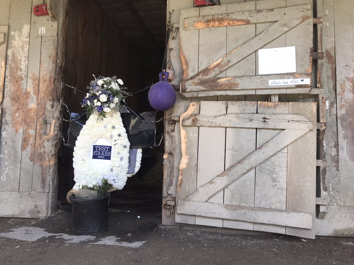 NRussoRacing's tweet photo. (1/2) Before diving in to the joy of a big race card, it feels wrong to not acknowledge that a year ago today was the hardest day I’ve ever spent at a racetrack. 
I’ve learned through a lifetime with horses that to only remember how they left us ….. https://t.co/pY7Y2Ym8cz
