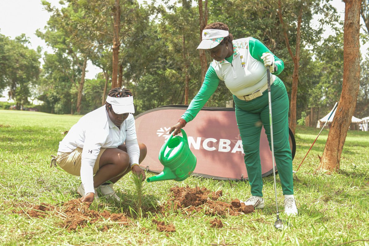 bamwinejnr's tweet photo. At Jinja Golf Club, NCBA Bank is driving sustainability forward by planting 250 trees along the course. This initiative is a hole-in-one for combating climate change and preserving Uganda's natural beauty 🌳 

#goforit | #NCBAGolfSeries https://t.co/KZuAOBMmkl