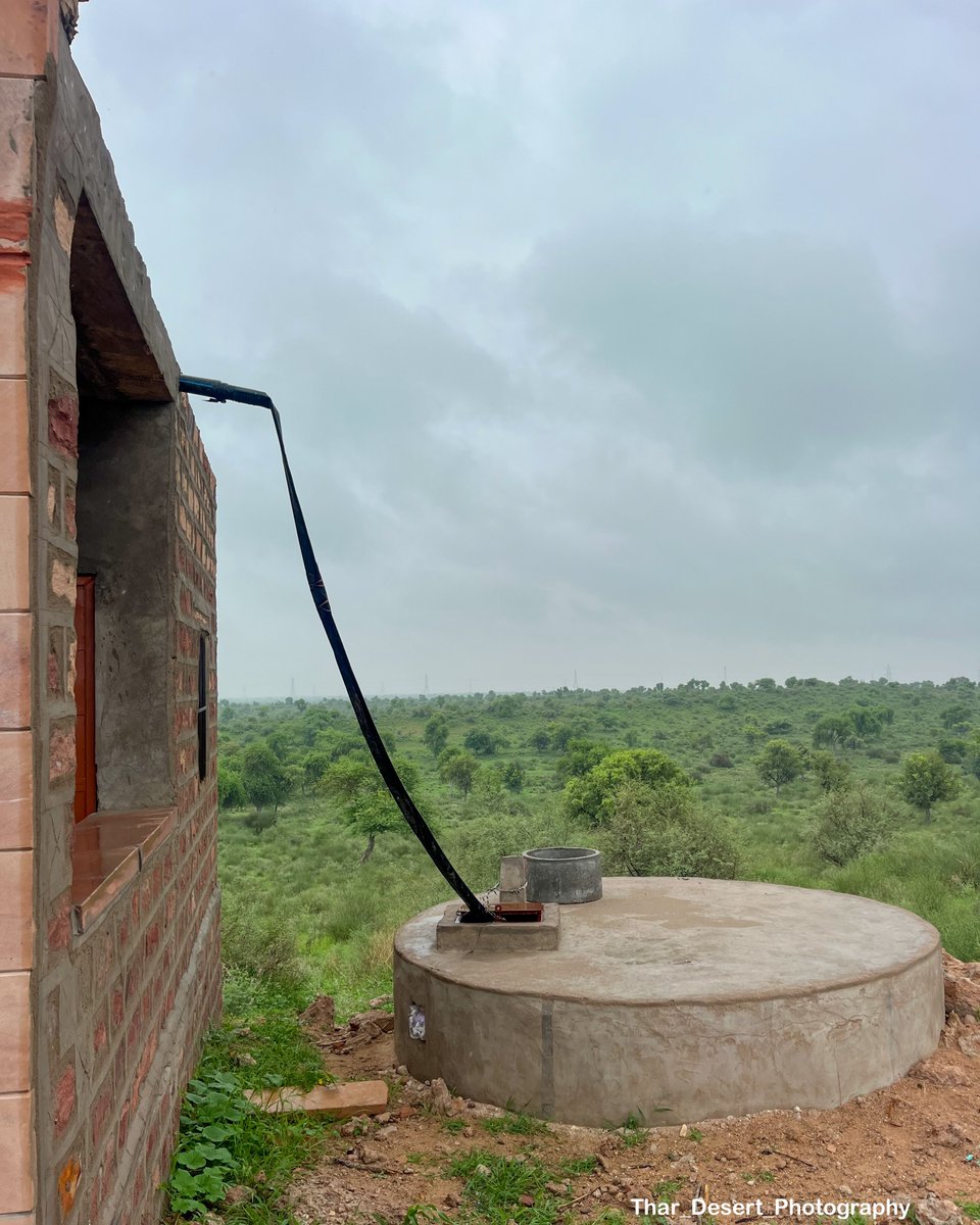 बारिश हो रही हैं ओर छत पर गिरने वाली बूंद बूंद टांके में जा रही हैं।कल रात मेरा टांका भी भर गया पूरा।अब सालभर मिठा ओर शुद्ध पानी पीने को मिलेगा।थार के लोगों के लिए वर्षा जल संरक्षण जीवन का एक हिस्सा है।यहाँ ऐसा कोई घर नही मिलेगा जहां टांके को छत से ना जोड़ा गया हो।