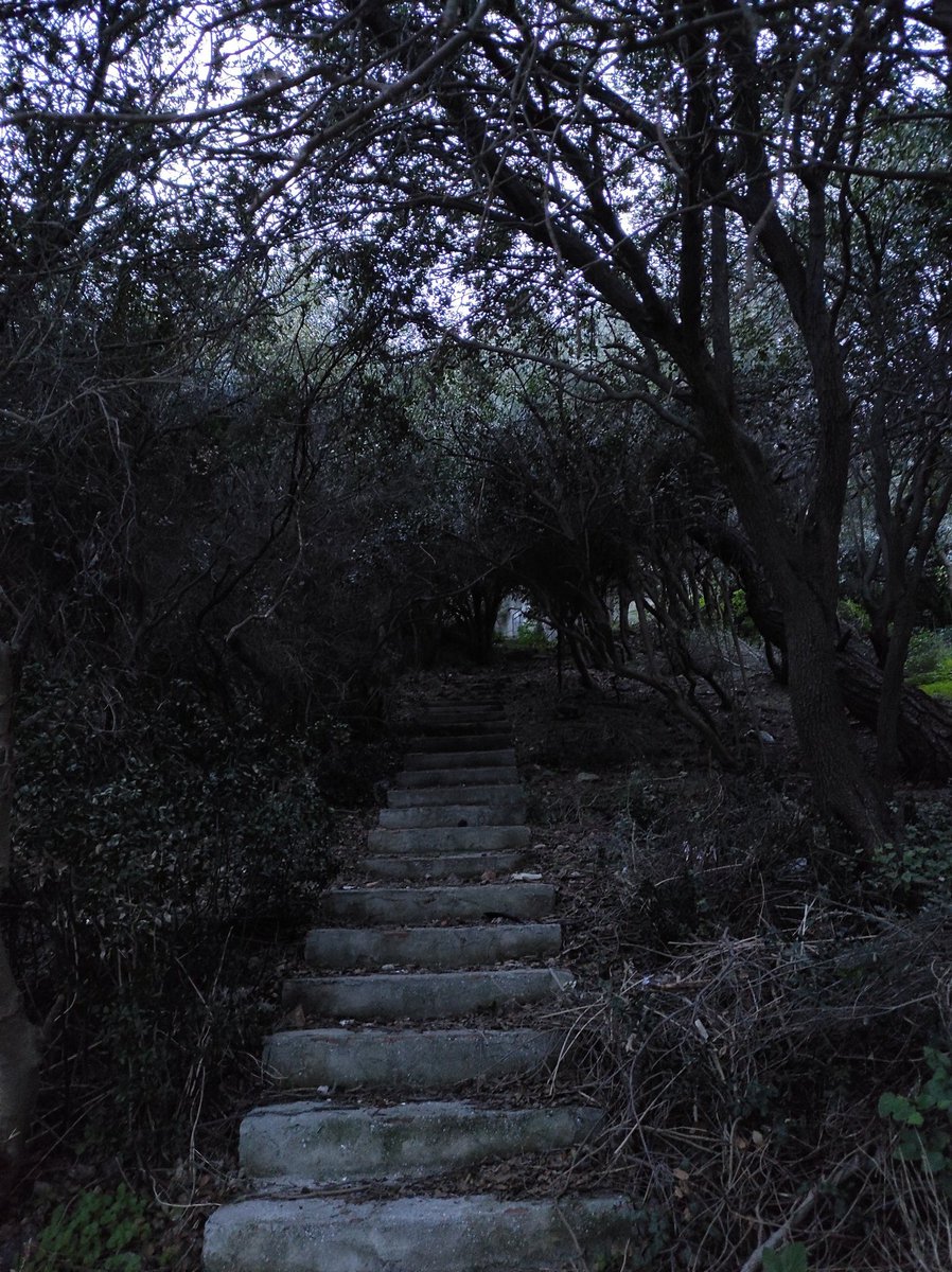 Biz, olmayanız. Bir türlü, ne yaparsak yapalım bir türlü olmayanız..