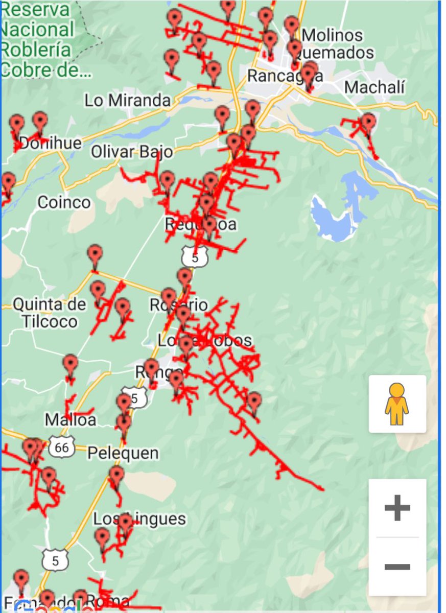 Rodrigo Siderakis V. tweet media
