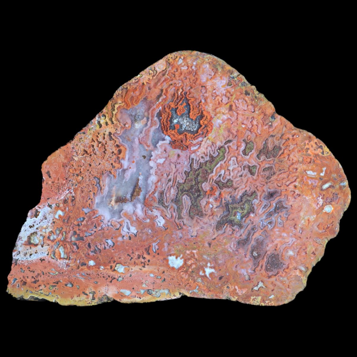 AgateScotland's tweet photo. Large jasp-agate I collected on the Angus Coast 1/12/23. Huge thanks to Chris Harlow for his help with photography https://t.co/bd1xmC8nti
