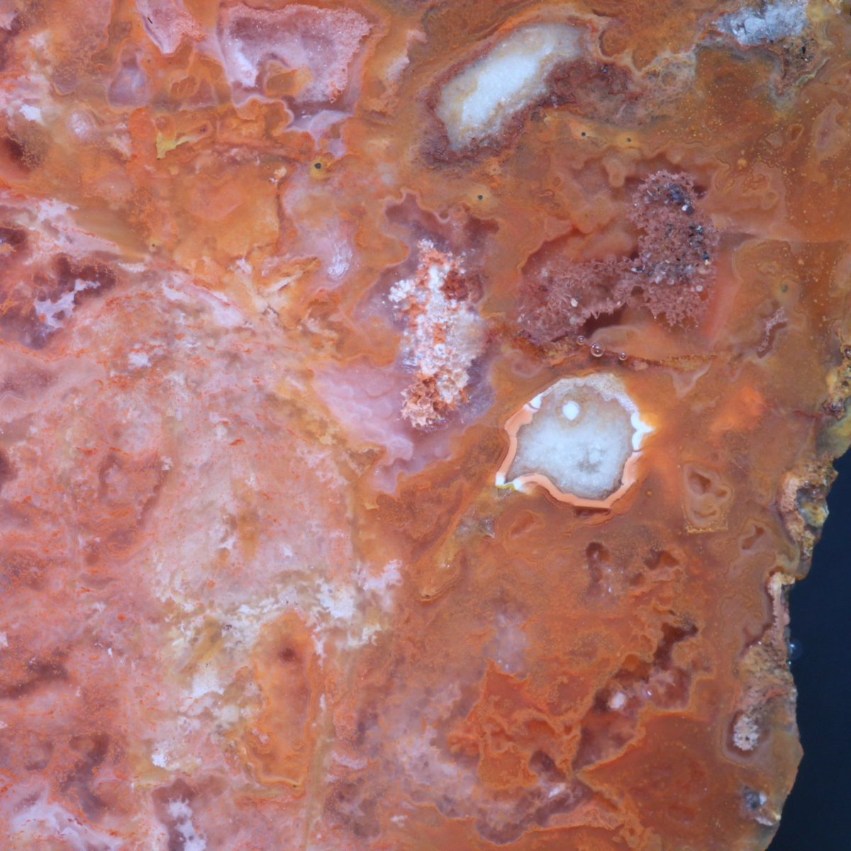 AgateScotland's tweet photo. Large jasp-agate I collected on the Angus Coast 1/12/23. Huge thanks to Chris Harlow for his help with photography https://t.co/bd1xmC8nti
