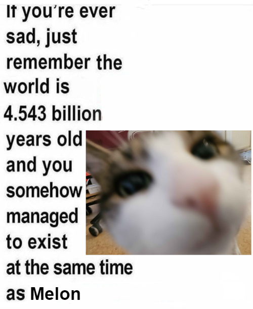 Malicious Melons (@maliciousmel0ns) on Twitter photo 