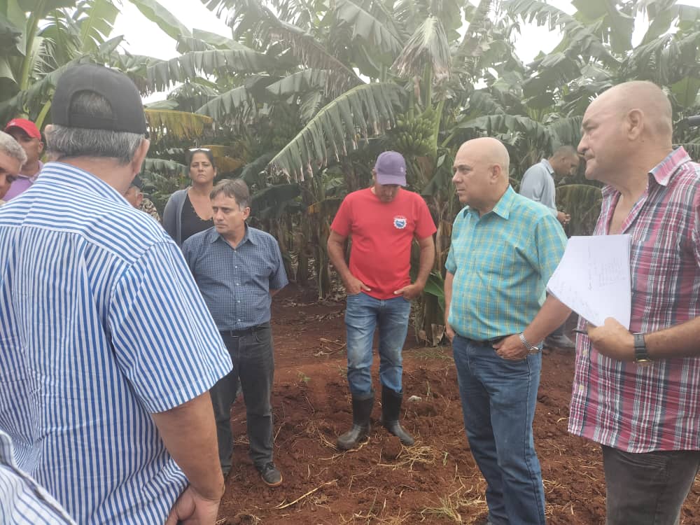 Visita Morales Ojeda la Finca de Alfredo López en Unión de Reyes, Matanzas. Un productor que , junto a sus hijos, demuestra el valor de trabajar la tierra.
#GenteQueSuma
#EstaEsLaRevolución