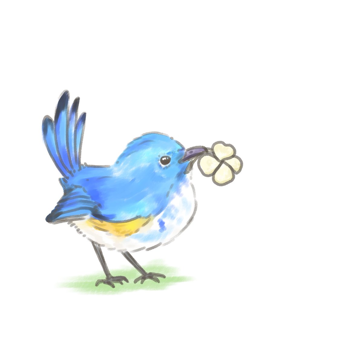 루시핑계로 새그리는거 티나요?