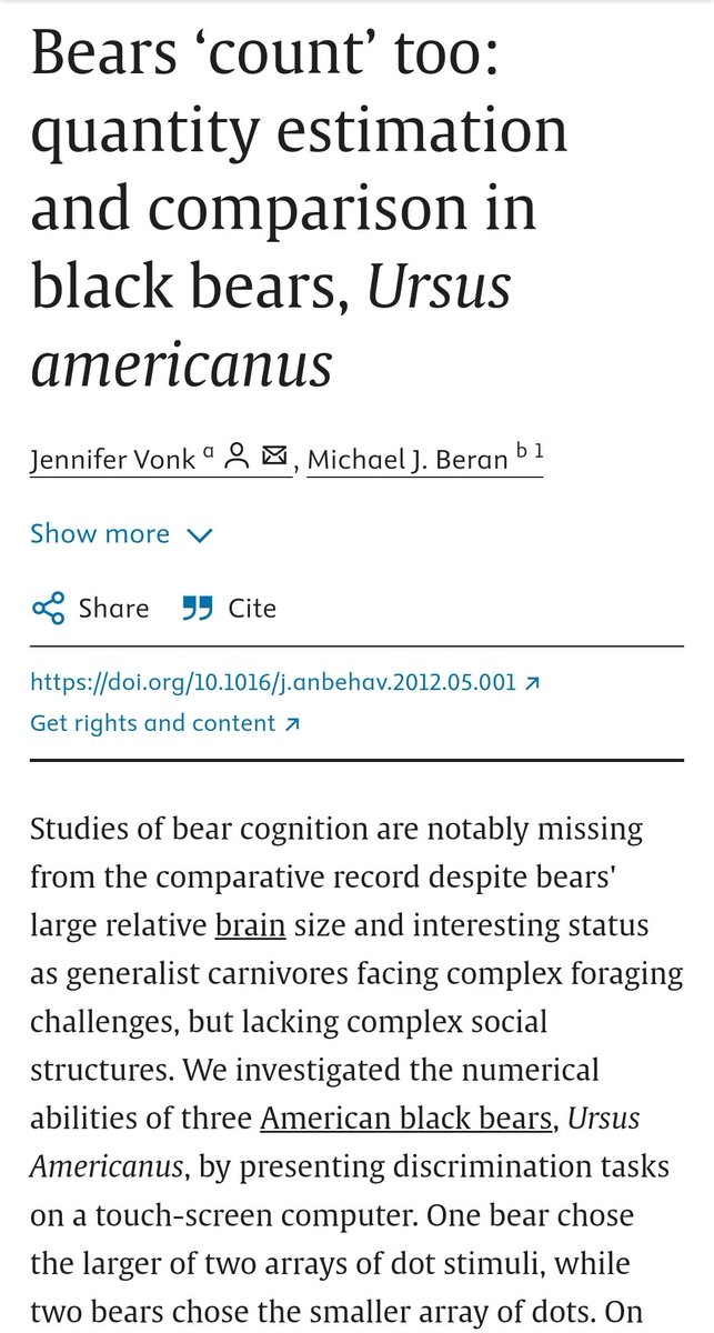 Fincansco's tweet photo. Did you know that bears can count? They can! Don't approach them or you might meet a grizzly end. You can count on that! @OKWildlifeDept #RogueHunt https://t.co/XkOk2J8hIB