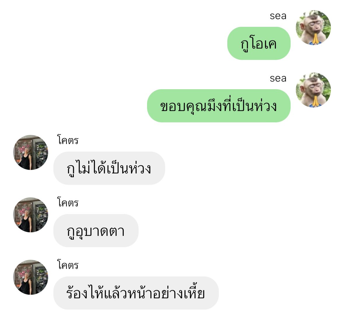 qt pie , tweet media