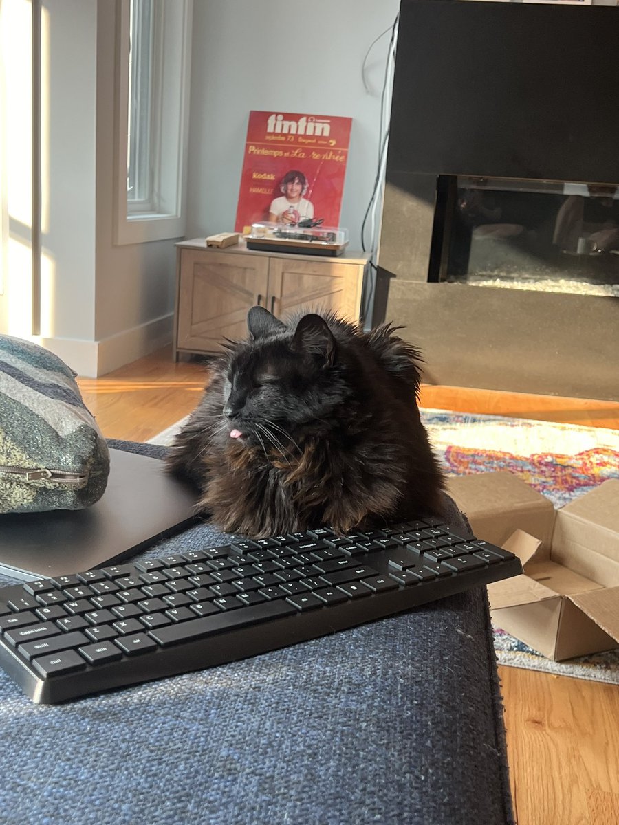 jennifermarksmd's tweet photo. Happy #Caturday 😋! 🐱🐈⬛
@catsofinstagram #kittycam #😋 https://t.co/jdkFnHG7i6