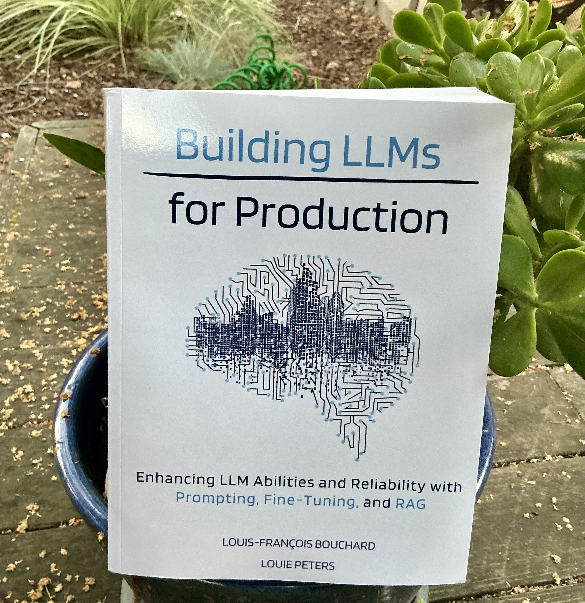 Bojan Tunguz on X: &ldquo;I just got my own copy of “Building LLMs for 