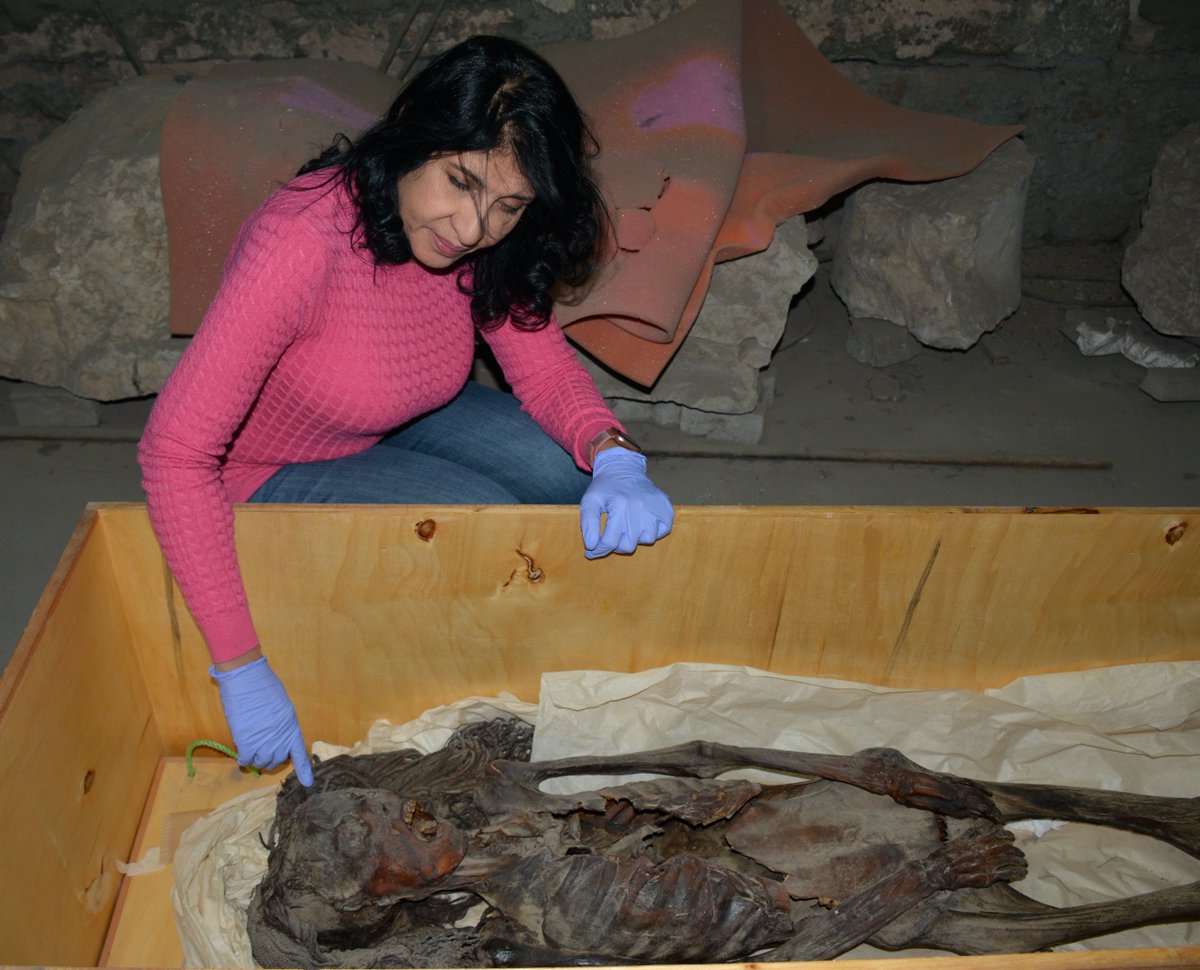 JUST PUBLISHED! My study on The Screaming Woman Mummy (From Senmut's Family Burial-Queen Hatschepsut's reign)- Frontiers In Medicine. frontiersin.org/articles/10.33…