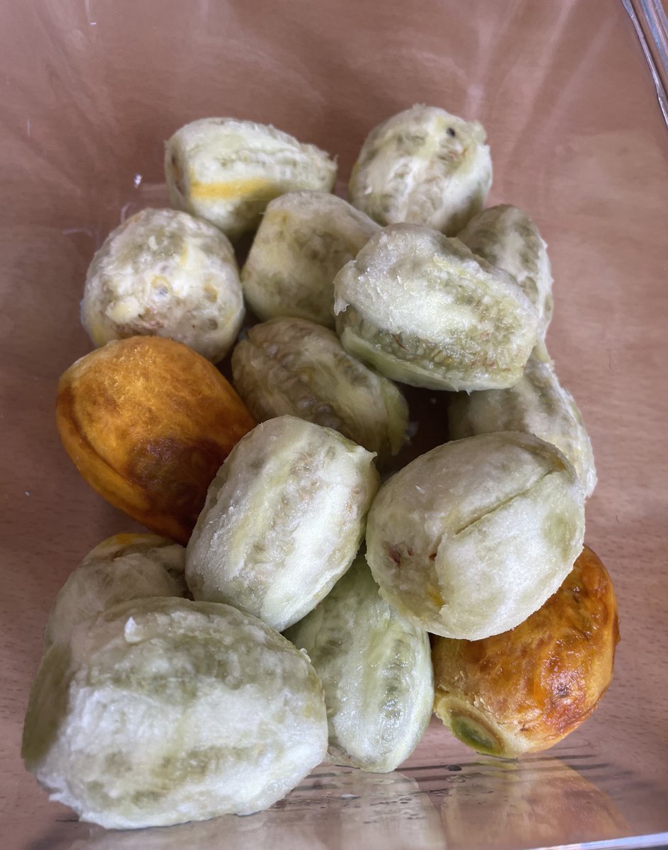Pauliag2's tweet photo. Baldeados en la azotea y pelados por estas manitas. Ahora viene lo bueno 😋😋
#tunos #grancanaria https://t.co/62j8LVTZTv