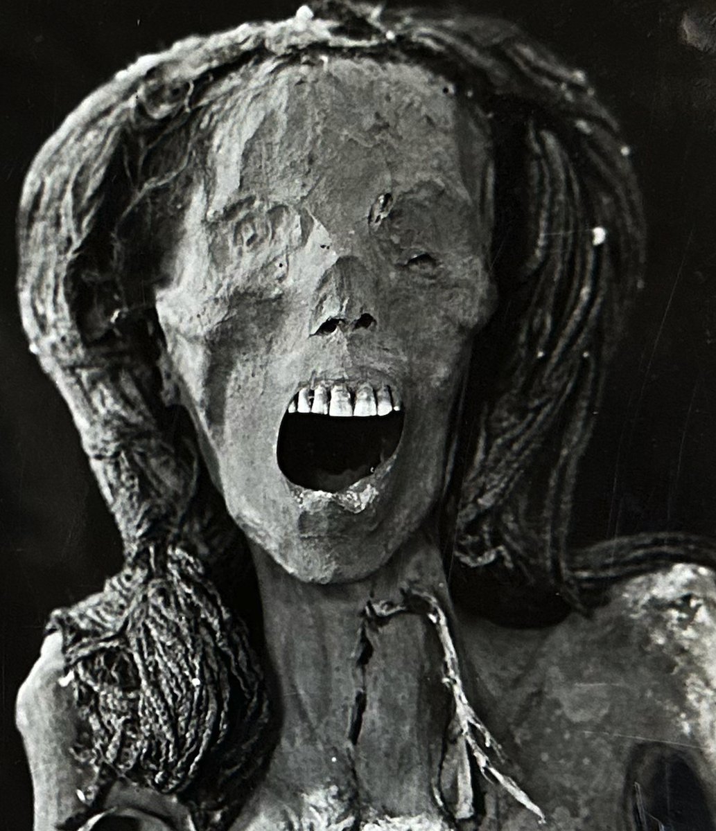 Year 1935 picuture of The Screaming Mummy from Senmut's Family Burial (TT71)-Luxor. My article frontiersin.org/articles/10.33…