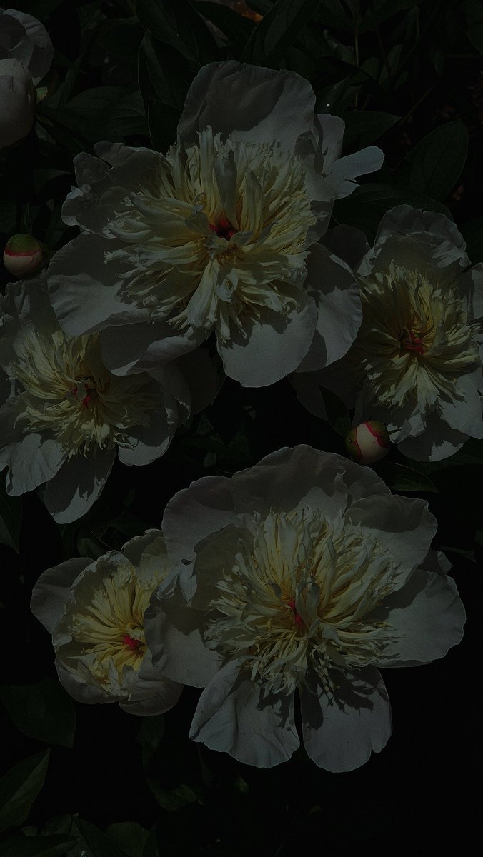 dma3rd's tweet image. 